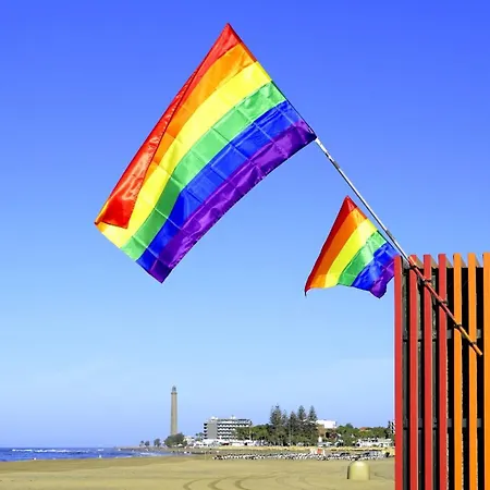 Luminoso Con Piscina Y Aparcamiento *