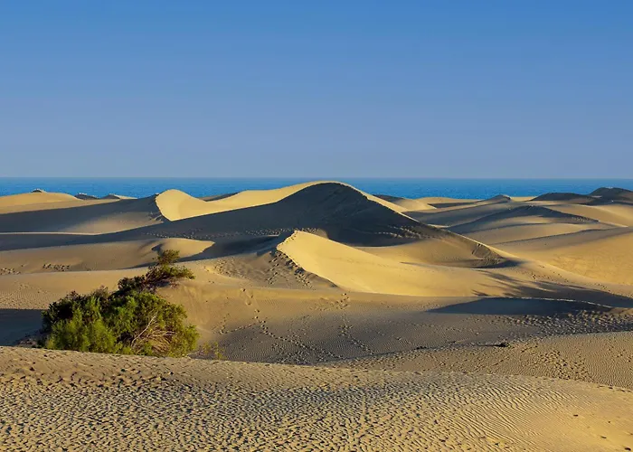 Luminoso Con Piscina Y Aparcamiento * بلايا ديل إنغلز